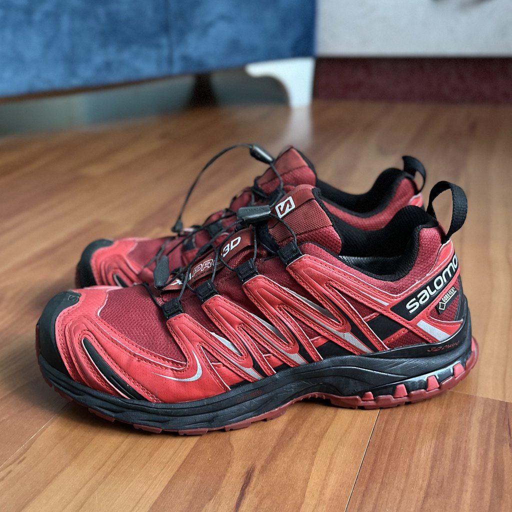 Salomon xa pro 3d best sale gtx rouge